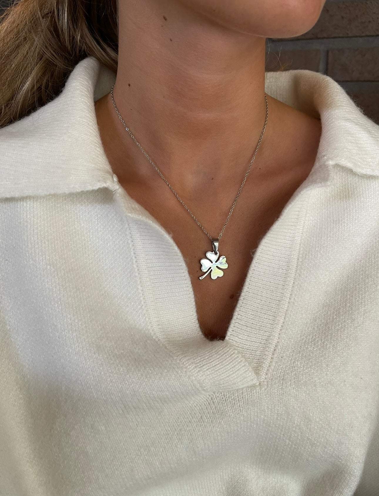 Lucky Charm halsband Silver